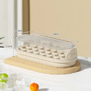 Forma de Gelo Inteligente