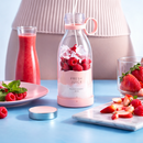Liquidificador Portátil Premium